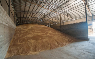 Désinfection des silos et stockages : un impératif sanitaire et économique