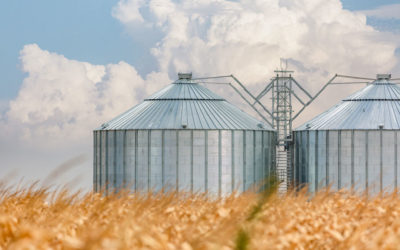 Stockage à long terme : comment éviter les pertes jusqu’à l’été ?