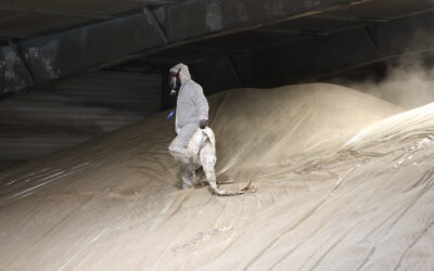 Dégazage des navires céréaliers : préserver la qualité et la sécurité