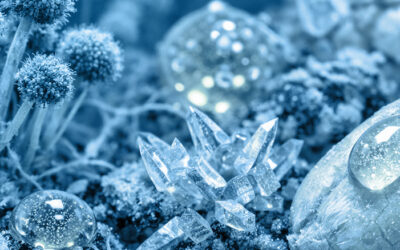 Mycotoxines et moisissures : comment les éviter après l’hiver