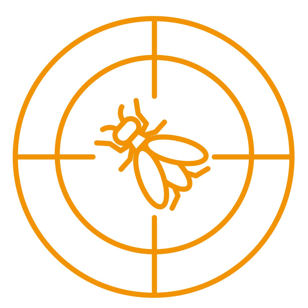 Cible insecte