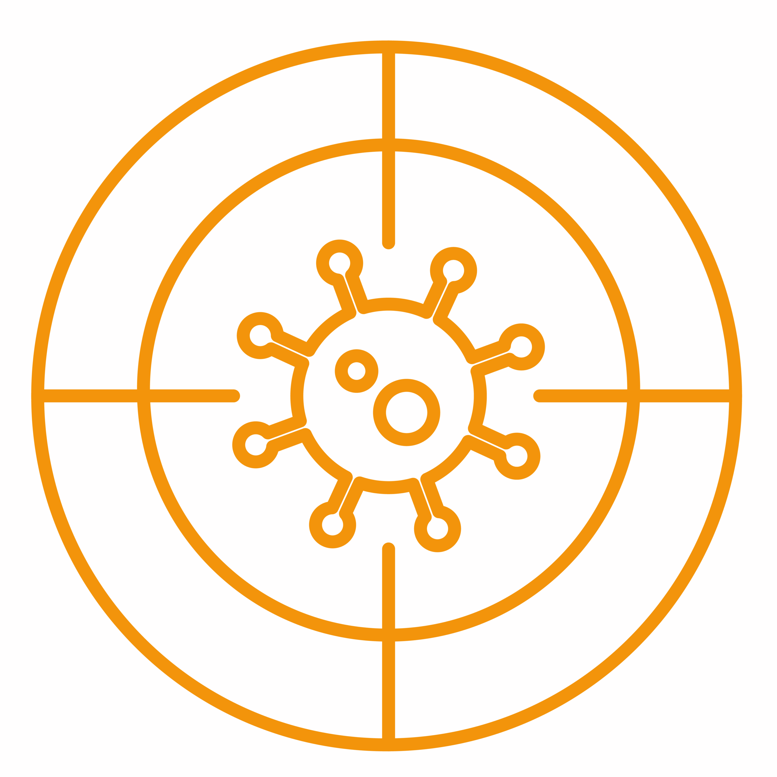 Cible insecte